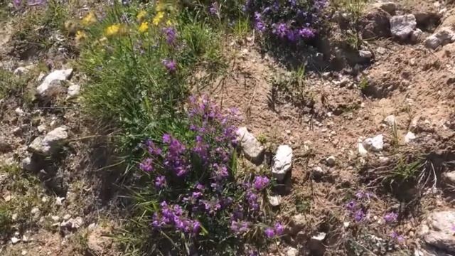 Альпы Германии. Берхтесгаден/Alpen, Berchtesgaden, Germany