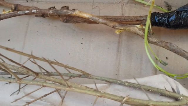 Отзыв клиента Агромаркет24 смотреть онлайн