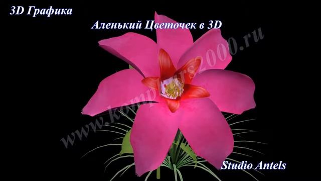 3D графика - Аленький цветочек в 3D смотреть онлайн