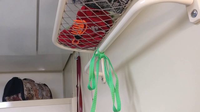 Провоз собачки в поездах по России (15.11.2023) смотреть онлайн