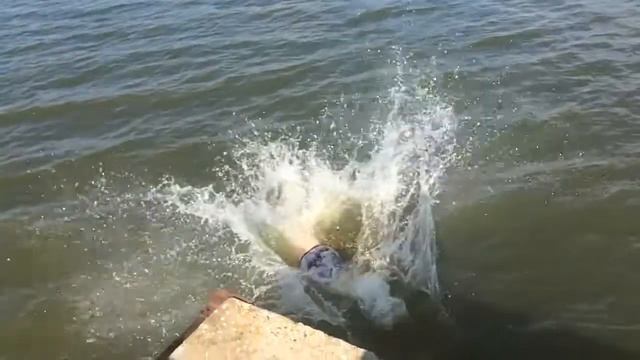 Идеальный вход в воду смотреть онлайн