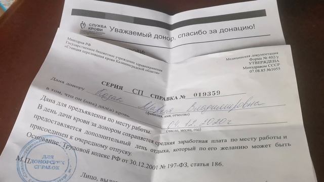 Как стать донором крови// Первая донация в Калининграде смотреть онлайн