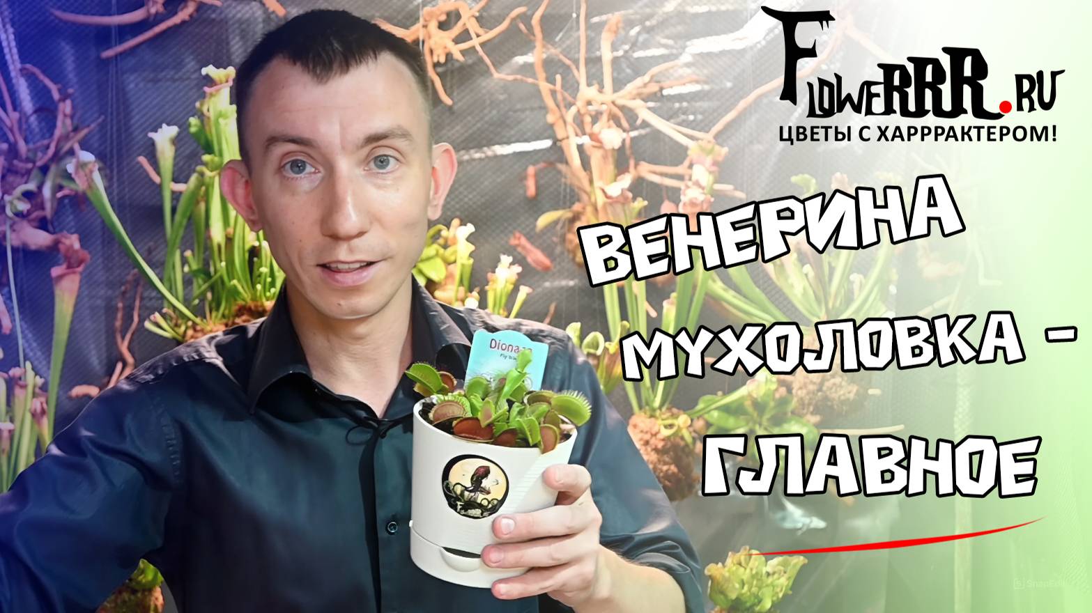 Главное о венериной мухоловке смотреть онлайн