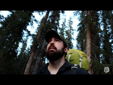The Time I Thought I Was About to Film Bigfoot смотреть онлайн