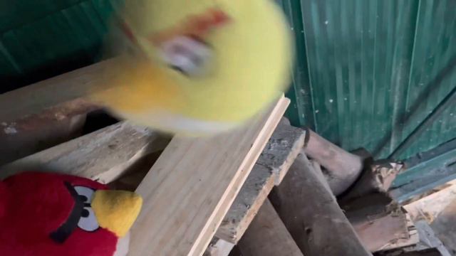 Mighty eagle battle cry - Alonso’s movies смотреть онлайн