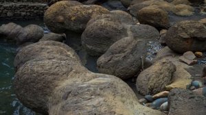 аммониты адыгеи