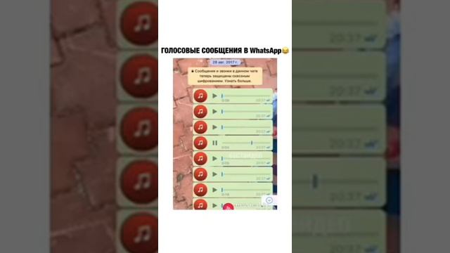 ЭПИЛЕПСИЮ НА НОГАХ И БРОВИ ПОШУПАТЬ??? смотреть онлайн