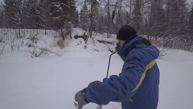 ЖИВЁМ В ТАЁЖНОЙ ИЗБЕ И ПРОБУЕМ РЫБАЧИТЬ. смотреть онлайн