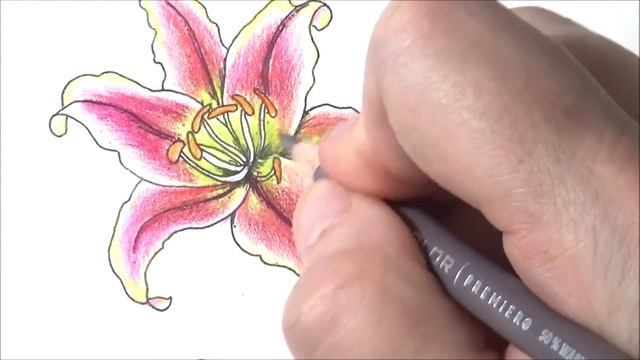 How To Color Flowers In Coloring Books Choosing Colors Combinations Blending Shading Lisa Brando смотреть онлайн