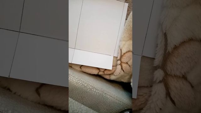 туториал как сделать бокс сюрприз из бумаги. смотреть онлайн