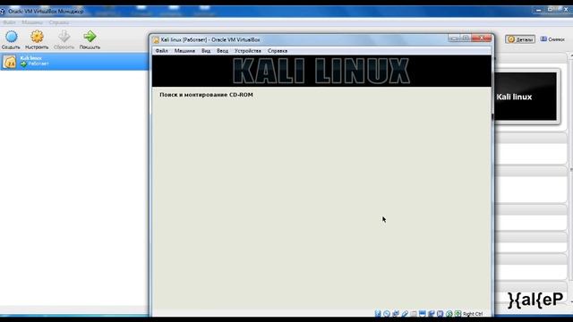 Как установить Kali Linux на флешку или переносной жесткий диск смотреть онлайн