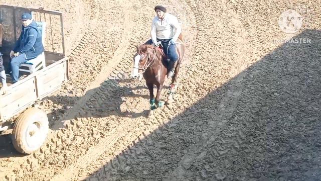 1-QISM SAMARQAND URGUT MEXROJ XOJI BUVA KOʻPKARISI.19.02.2023YIL