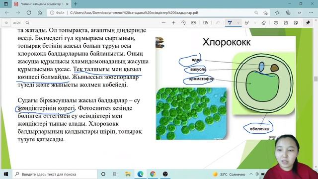 Прямая трансляция пользователя Гүлбану Сейткамалова смотреть онлайн