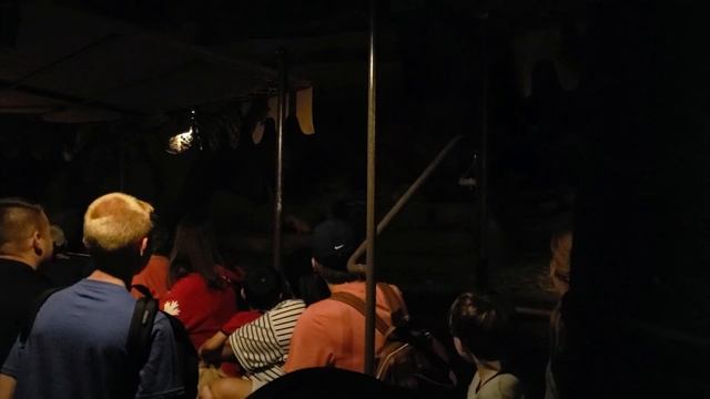 Disneyworld Honeymoon Days 1-3 смотреть онлайн