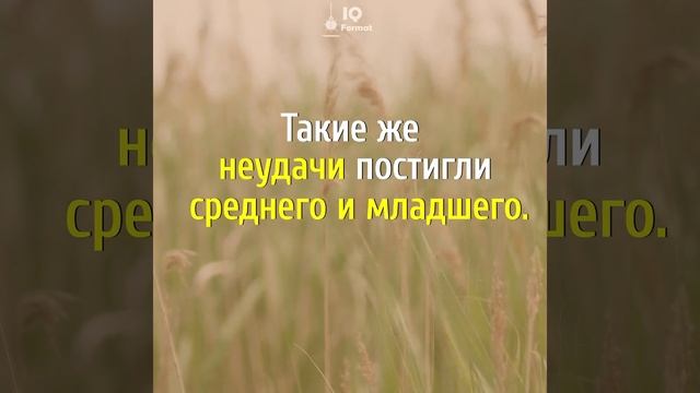 Как отец сплотил трёх сыновей | Притчи смотреть онлайн