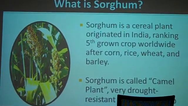 Pevonia Product Knowledge смотреть онлайн