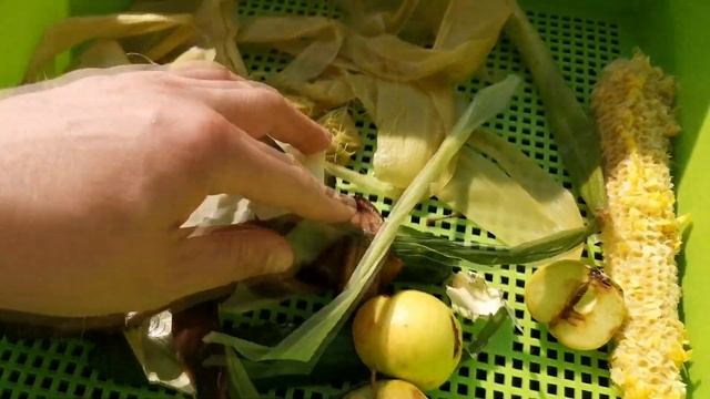 Домашний вермикомпостер. Добавляем этаж(ящик) для червей. Разведение червей в домашних условиях
