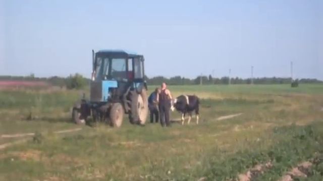 прикол))))) смотреть онлайн