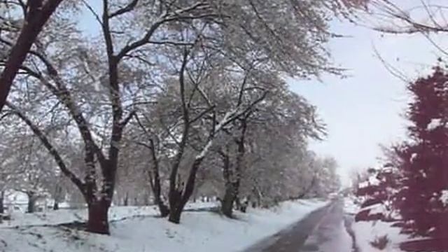 SAKURA & SNOW смотреть онлайн