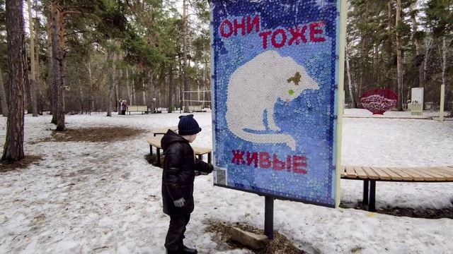 Челябинск парк Гагарина сосновый бор, картины из цветных пластиковых пробок Берегите природу люди. смотреть онлайн