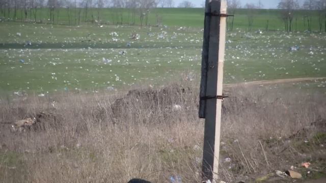 Загрязнение Природы