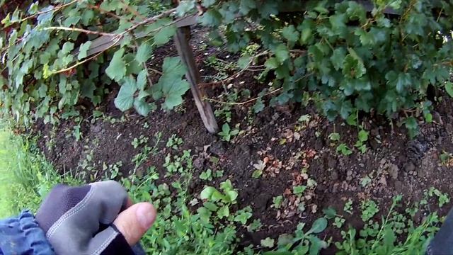 EKEN H9. Съемка с нагрудного крепления. Тестовое видео для оценки качества 1080/60