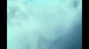 О книге О.  Роя “Джинглики” за 60 секунд