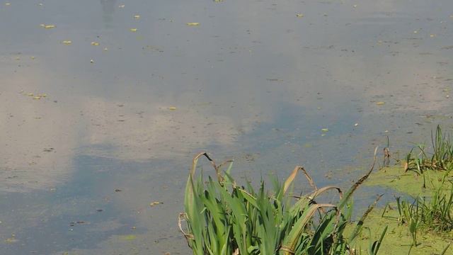 Весенний релакс реки Вяземка смотреть онлайн