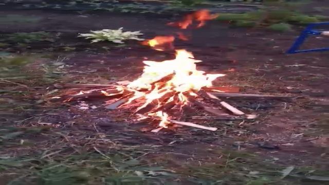 Костёр пионерский