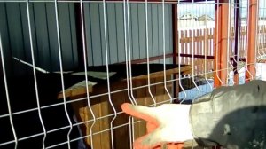 Вольер для собаки.