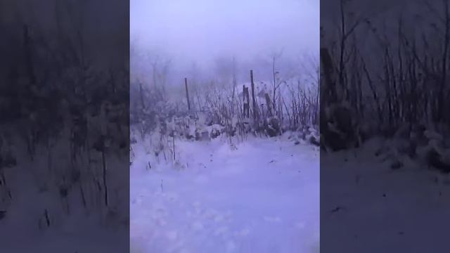 Иду туда не знаю куда :-) смотреть онлайн