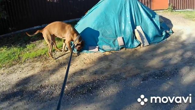 Тест новой экшн-камеры