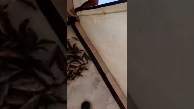 Рыбалка на камеру (Уткуль) смотреть онлайн