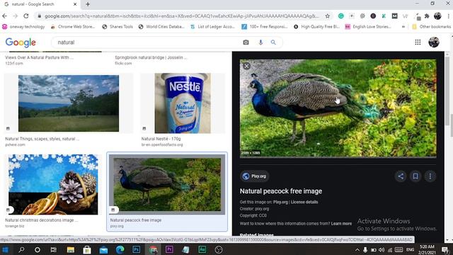 How To Download Copyright-free Images From Google |  Use Google Images Without Copyright In 2023