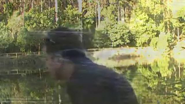 The Platypus смотреть онлайн