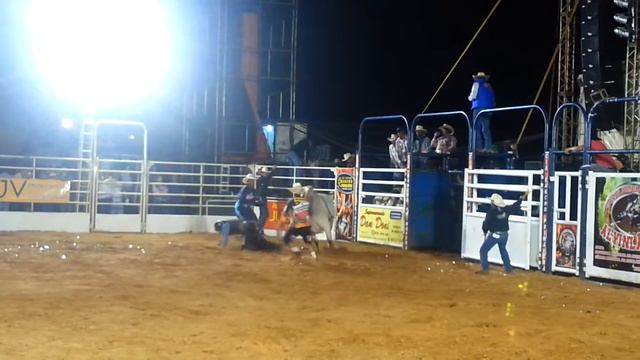 rodeio de Alvinlândia 2013 смотреть онлайн