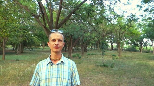 Вызов депрессологам-профессионалам смотреть онлайн