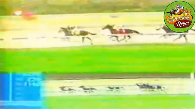 Las 7 MEJORES YEGUAS de la RINCONADA en toda su HISTORIA (Y la última sorprende) Grandes Victorias смотреть онлайн