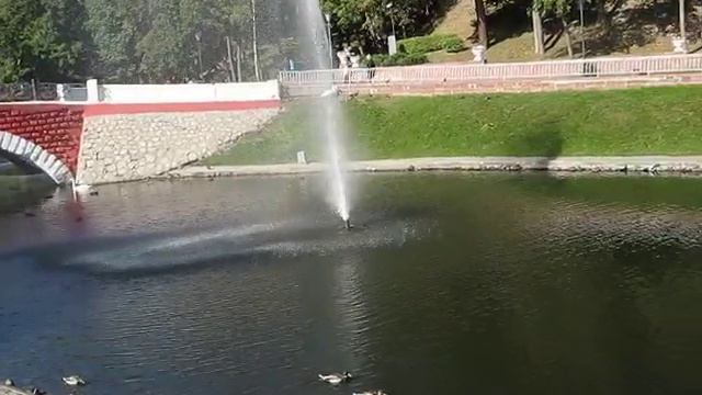 Гомель Парк Фонтан Утки и лебеди смотреть онлайн