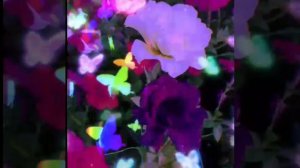 Йәнбикә - Кисерегеҙ йән дуҫтарым