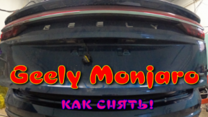 КАК СНЯТЬ ОБШИВУ ЗАДНЕЙ ДВЕРИ Geely Monjaro