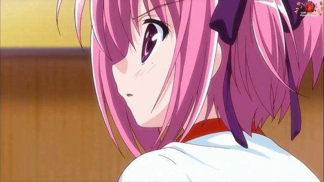 баскетбол куроко? / zxcursed смотреть онлайн