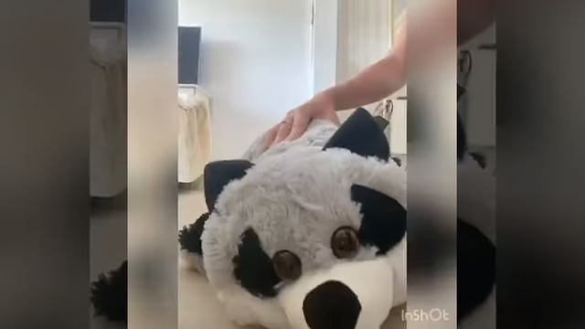 Подушка-игрушка енот смотреть онлайн