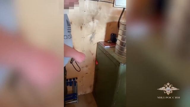 Незаконная добыча золота смотреть онлайн