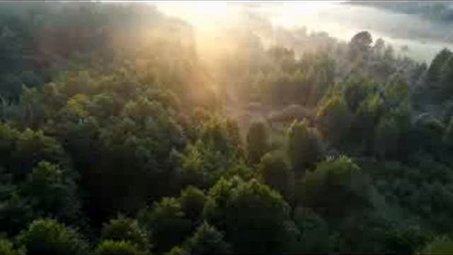 SURAH YASIN 11X INSYALLAH TERASA BERKAHNYA-RAHESTA смотреть онлайн