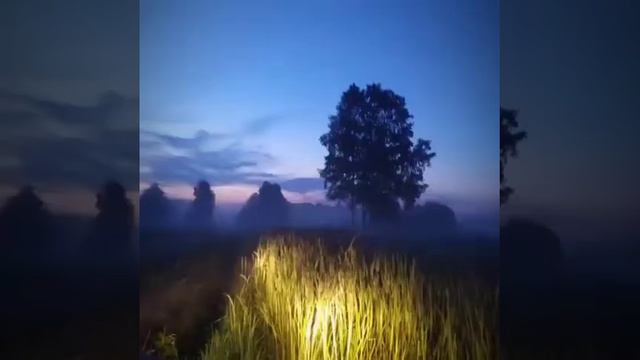 История ещё одного поиска смотреть онлайн