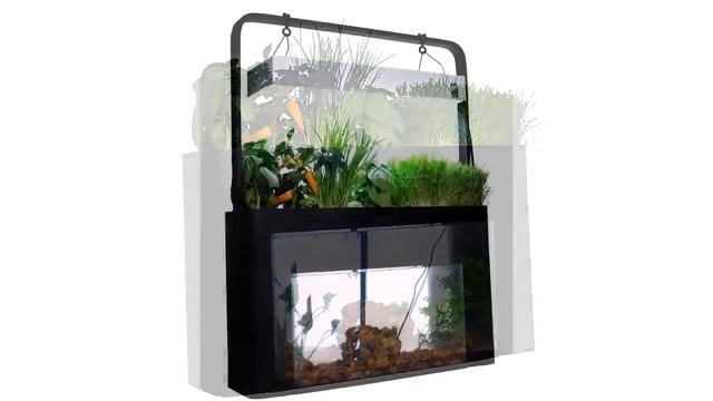 Grow Your Favourite Plants With Fish Waste With This Smart Aquarium смотреть онлайн