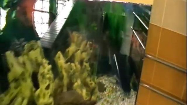 Бассейн Парус рекламный ролик МПЕГ 4 смотреть онлайн