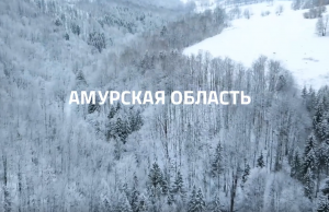 4 сезона Амурской Области
