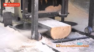 Как сделать ПИЛОРАМУ самому.Работа на дисковой пилораме.Как работает пилорама на пилах.